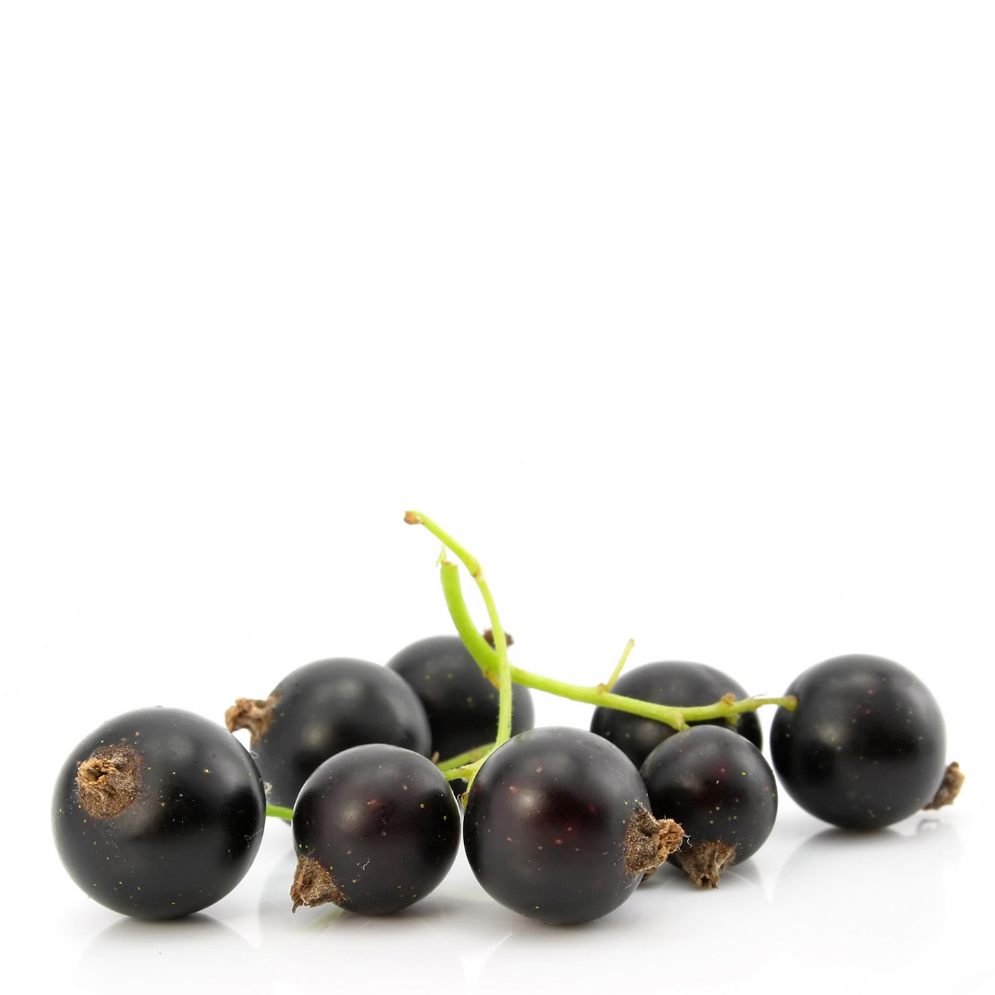 25279-blueberry-high-definition-picture