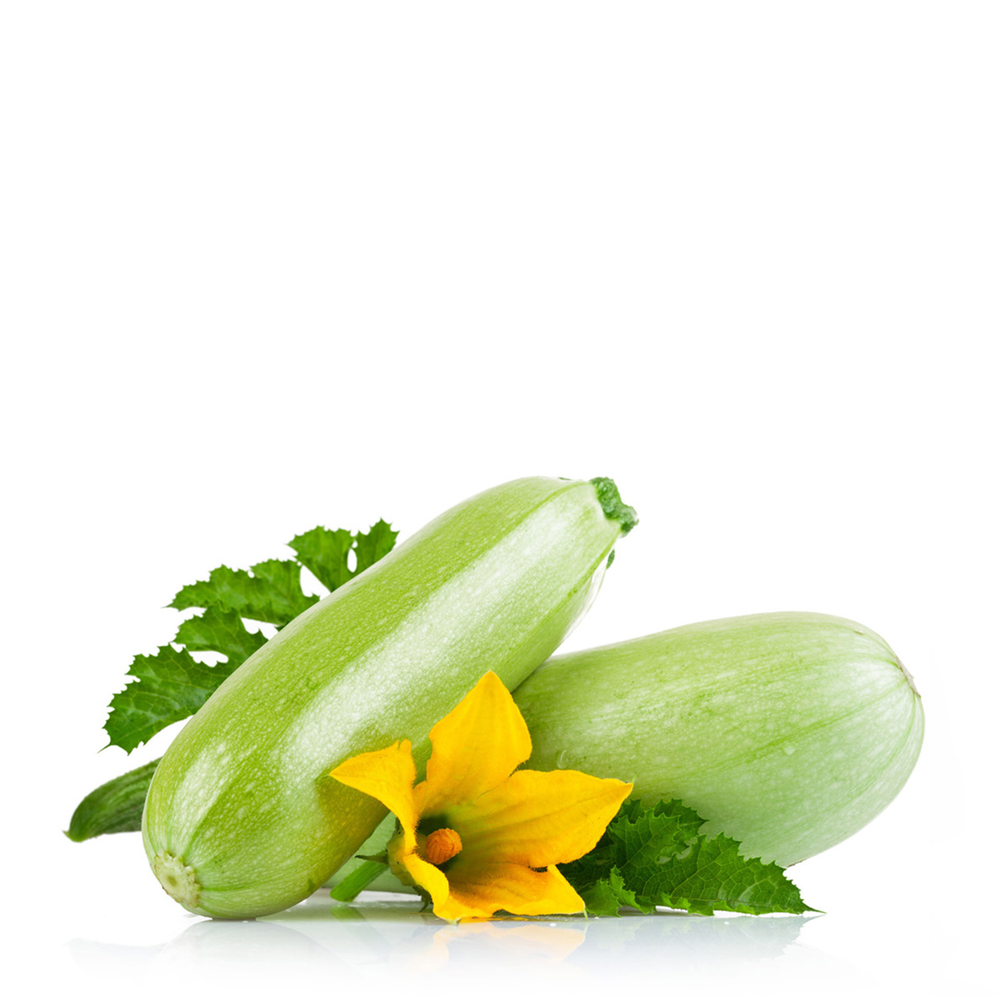 29954-vegetables